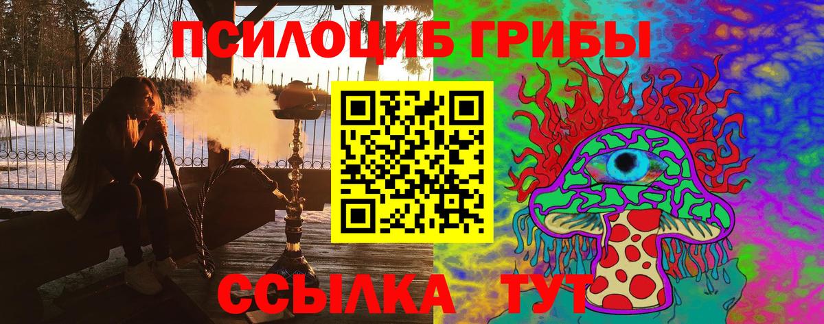 Рязань  купить наркоту  Вход с VPN  Псилоцибиновые грибы MAGIC MUSHROOMS 